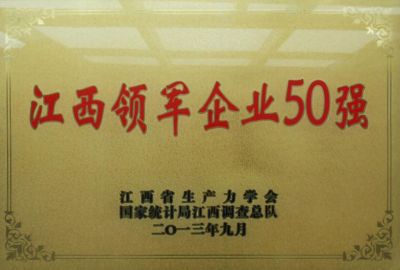 2013江西领军企业50强