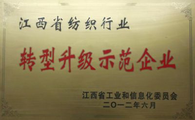 2012转型升级示范企业
