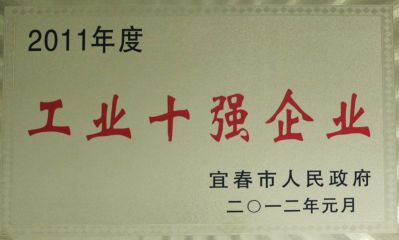 2012工业十强企业